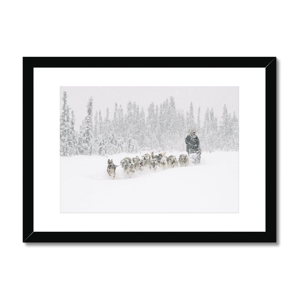 Alison Lifka, Iditarod Training // Framed Print