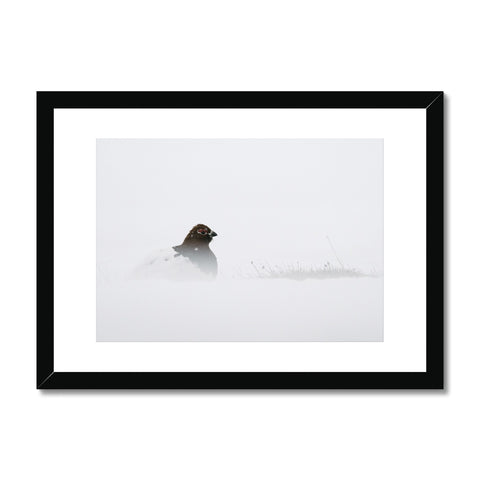 Ptarmigan Mysteries // Framed Print