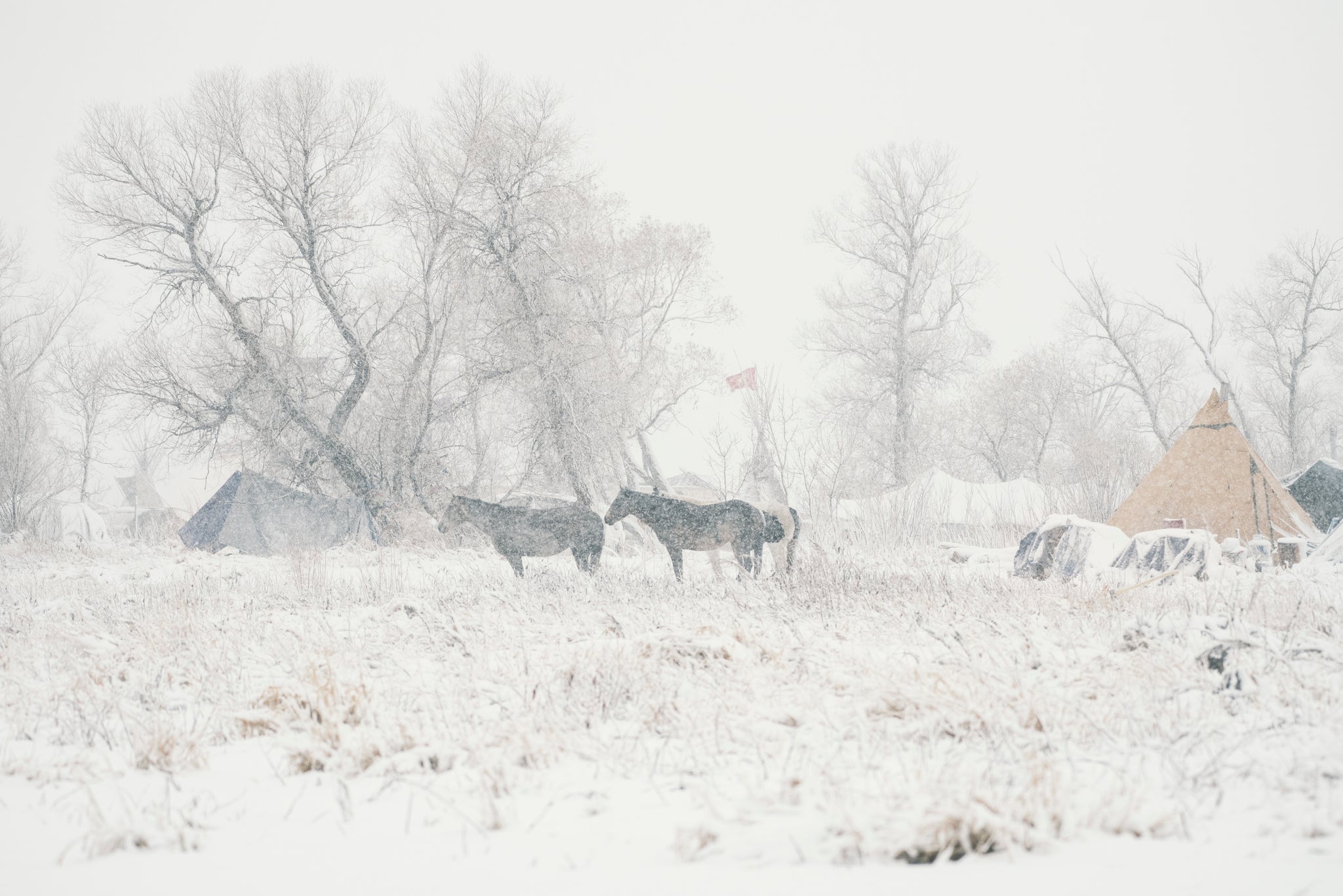 First Blizzard, Standing Rock // Collector's LE Print